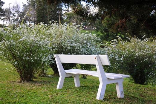 Propriedade Bangalos (110).jpg