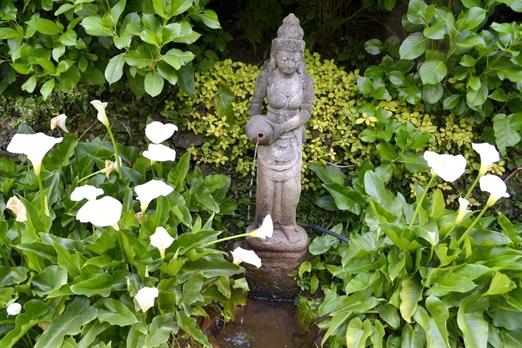 Propriedade Bangalos (136).jpg