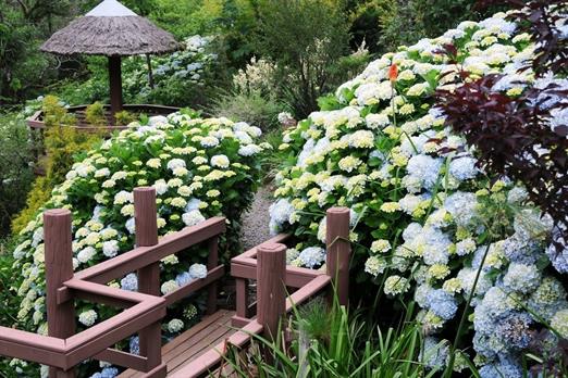 Propriedade Bangalos (140).jpg