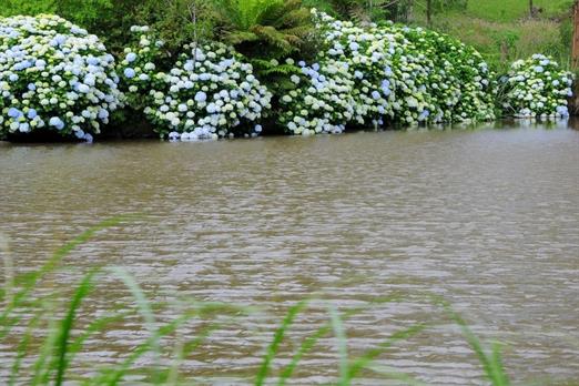 Propriedade Bangalos (142).jpg