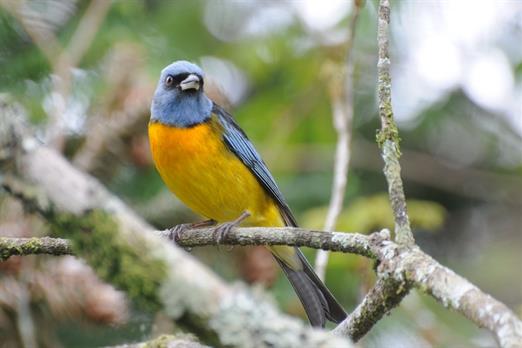 Propriedade Bangalos (148).jpg