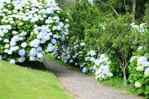 Propriedade Bangalos (168).jpg