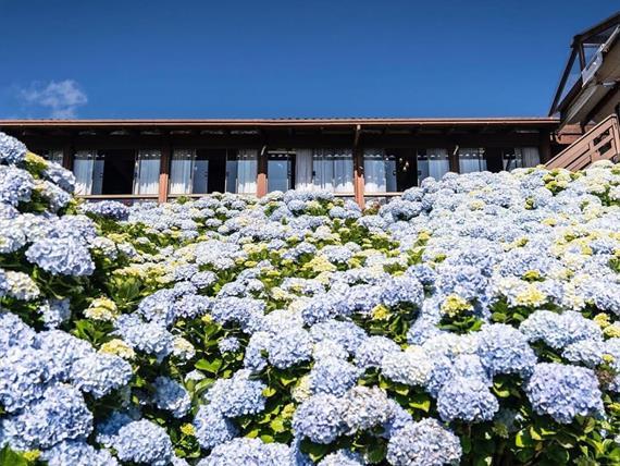 whatsapp image 2025-05-07 at 11.29.40 (4).jpeg