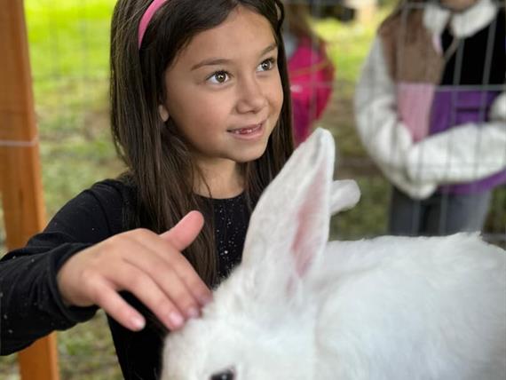 whatsapp image 2025-05-07 at 11.25.07.jpeg