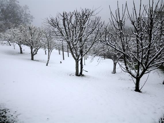 Propriedade Bangalos (105).jpg