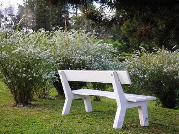 Propriedade Bangalos (110).jpg