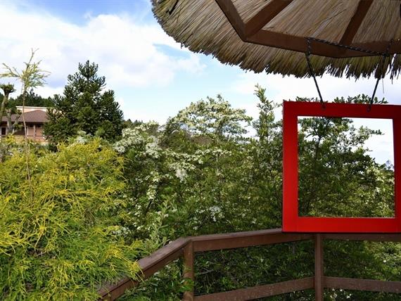 Propriedade Bangalos (138).jpg