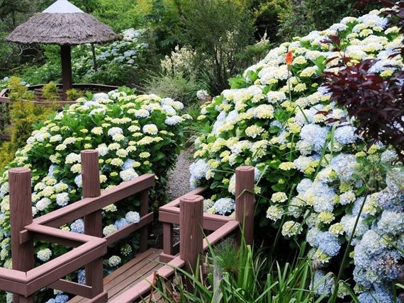 Propriedade Bangalos (140).jpg