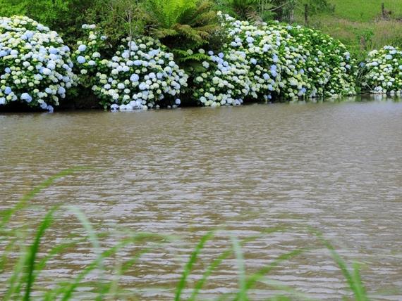 Propriedade Bangalos (142).jpg