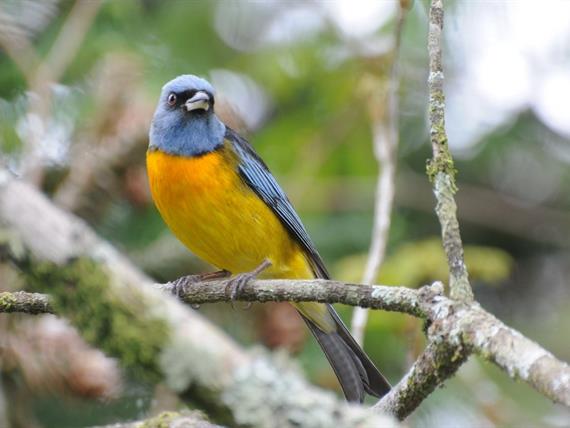 Propriedade Bangalos (148).jpg