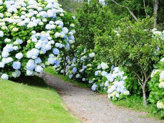 Propriedade Bangalos (168).jpg