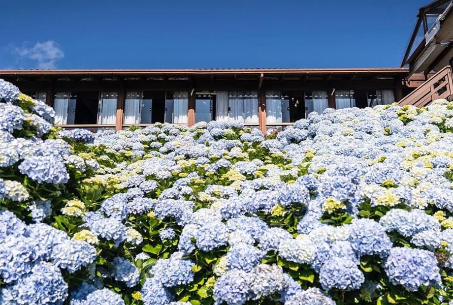 whatsapp image 2025-05-07 at 11.29.40 (4).jpeg