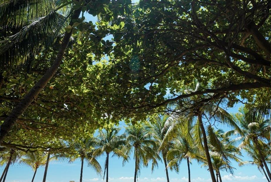 whatsapp image 2024-04-04 at 4.57.41 pm (3).jpeg