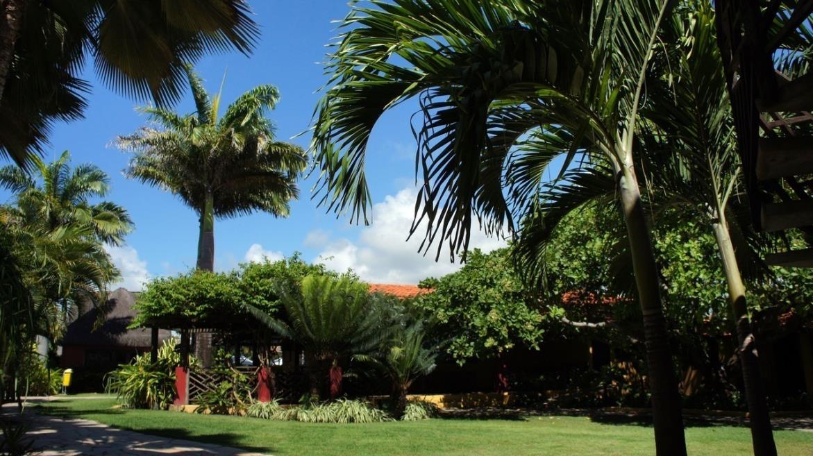 Hotel Aconchego - jardim 02.jpg