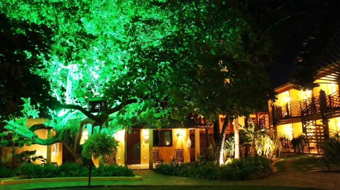 Hotel Aconchego - cajueira.jpg