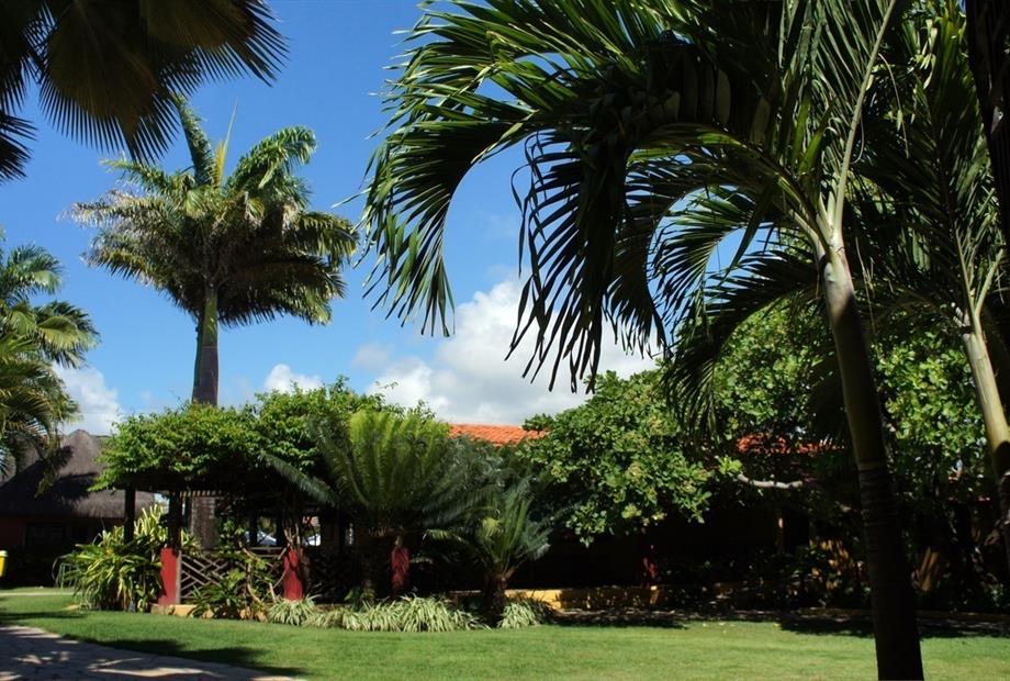 Hotel Aconchego - jardim 02.jpg