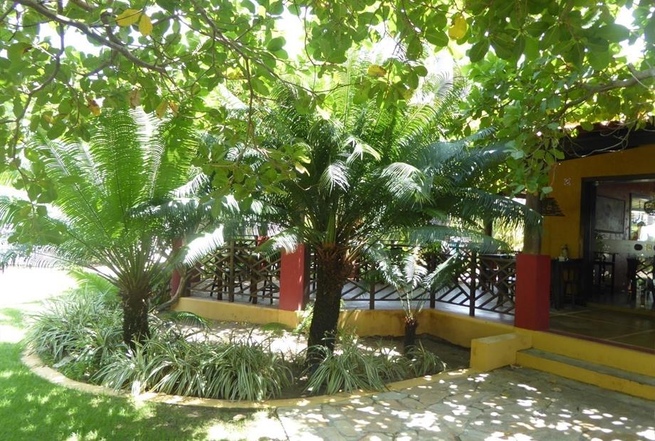 Hotel Aconchego - jardim 04.jpg