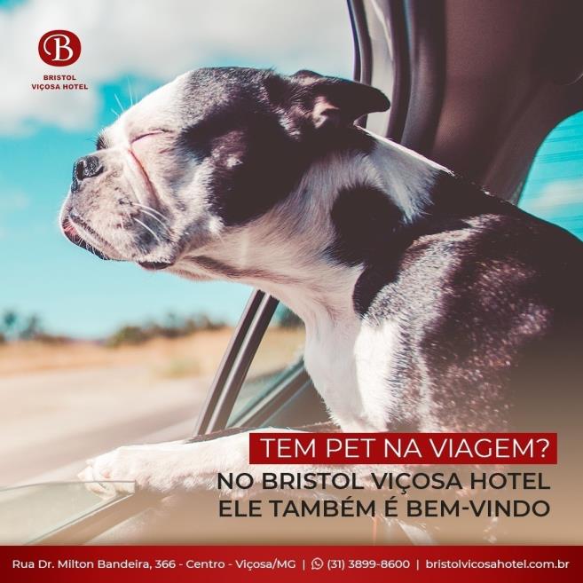 foto pet.jpeg