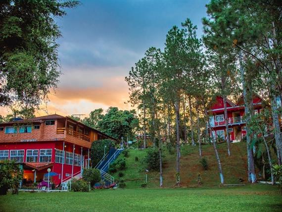 WhatsApp Image 2020-08-01 at 17.55.32.jpeg