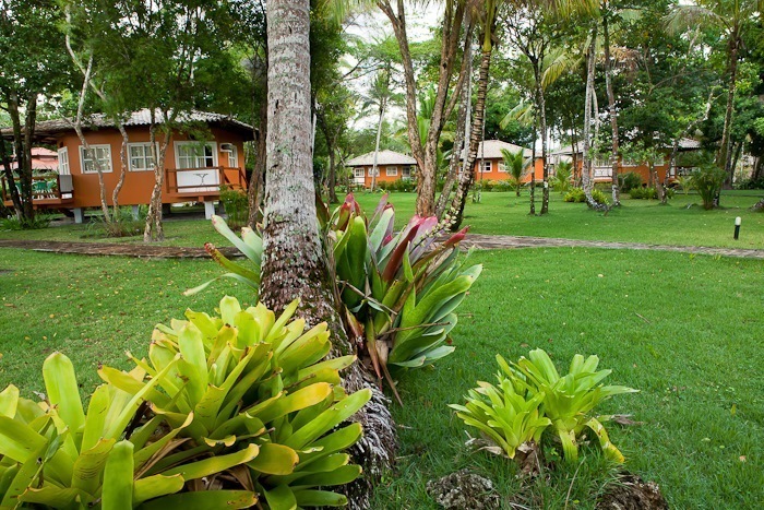 Jardim.jpg