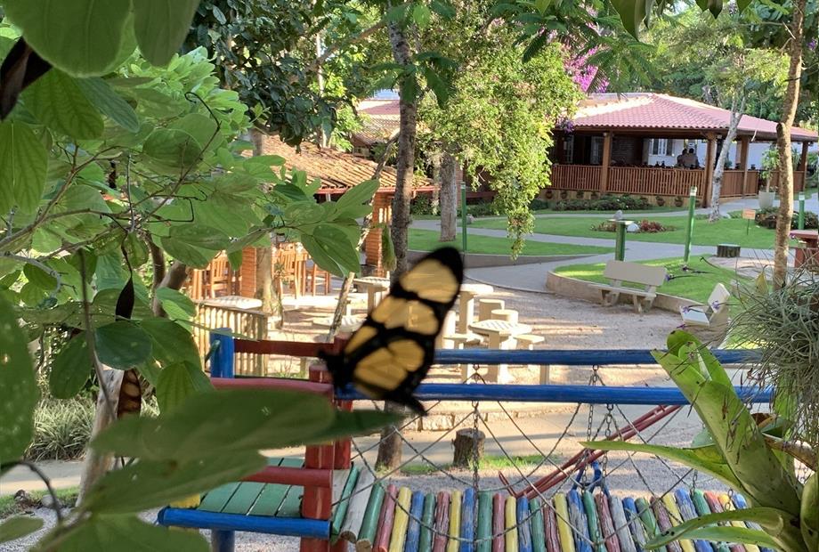 VISTA CHURRASQUEIRA + PLAY.jpg