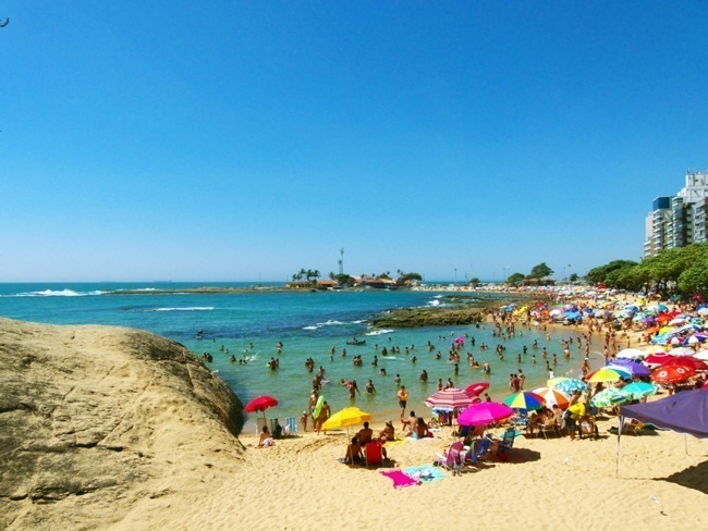 castanheiras1.jpg