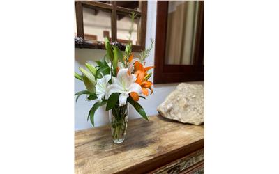DECORAÇÃO
