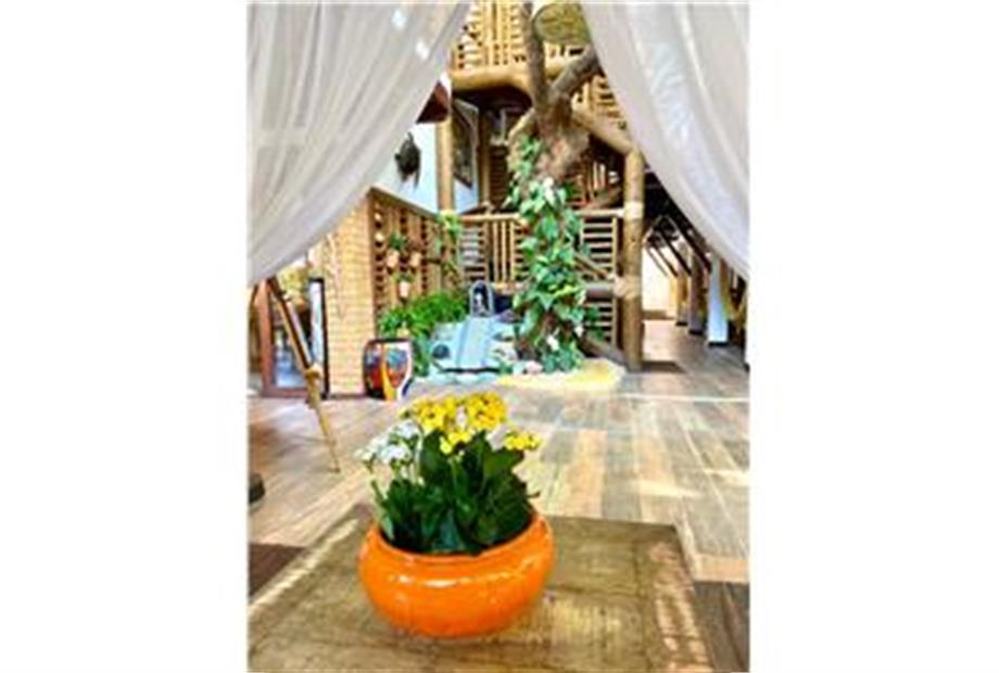 ESPAÇO ZEN/ FONTE DOS DESEJOS