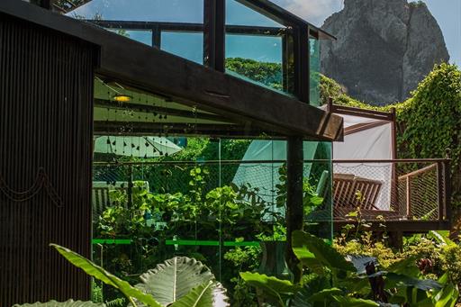 Teju Açu reduzida-4.jpg