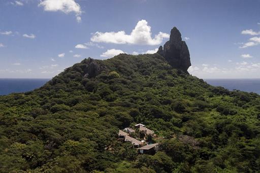 Teju Açu reduzida-7.jpg