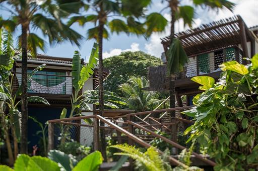 Teju Açu reduzida-15.jpg