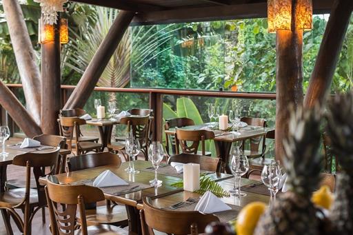 Teju Açu reduzida-23.jpg