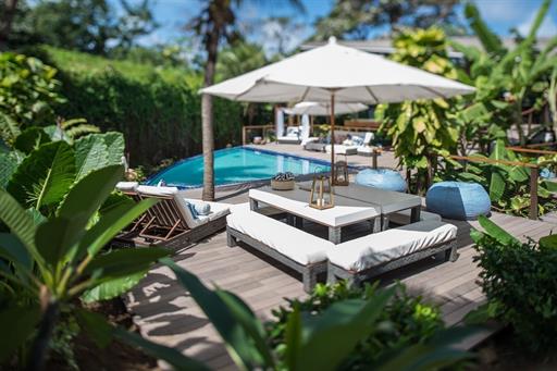 Teju Açu reduzida-24.jpg