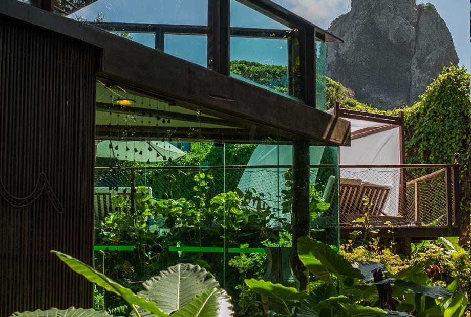 Teju Açu reduzida-4.jpg