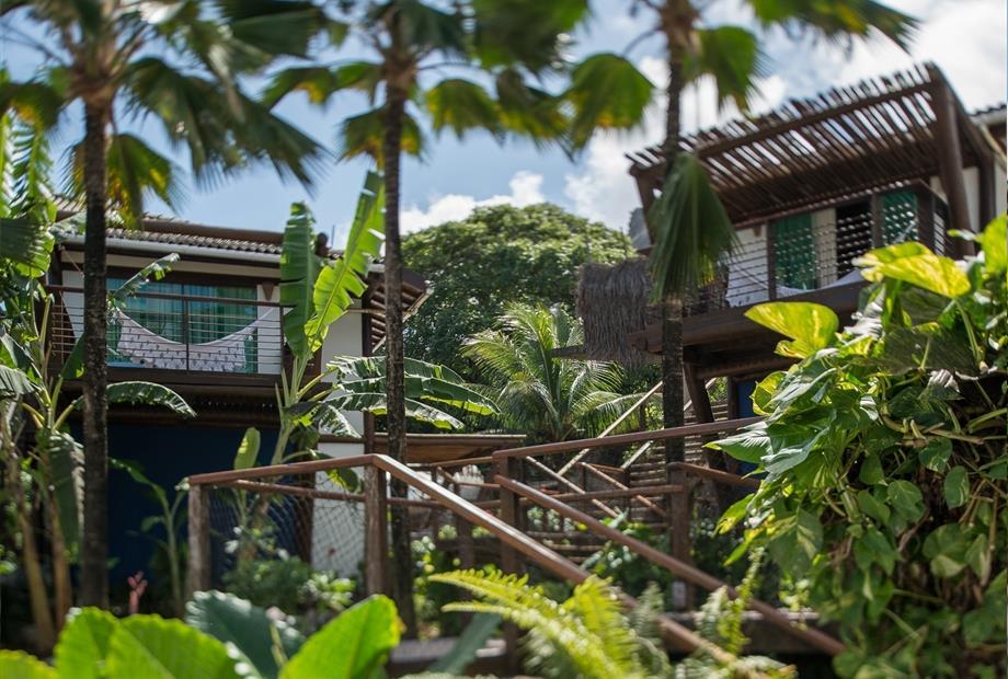 Teju Açu reduzida-15.jpg