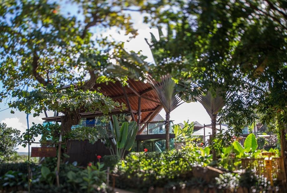 Teju Açu reduzida-55.jpg