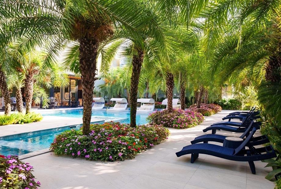 whatsapp image 2025-03-12 at 11.47.37 (2).jpeg