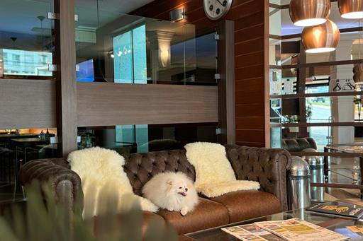 whatsapp image 2024-08-22 at 19.23.07.jpeg