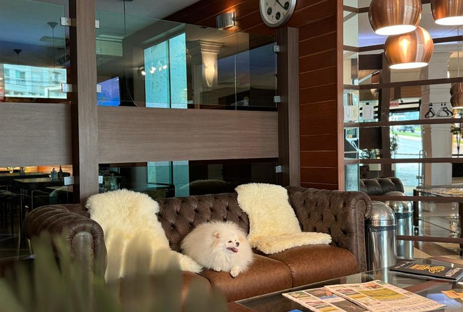 whatsapp image 2024-08-22 at 19.23.07.jpeg