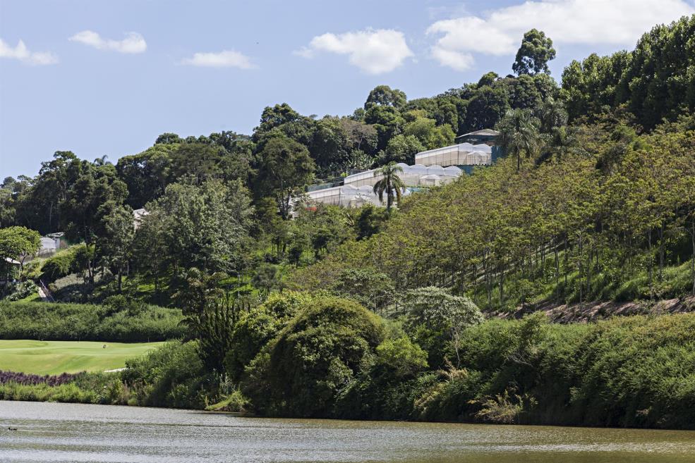 Estufas Paisagem.jpg