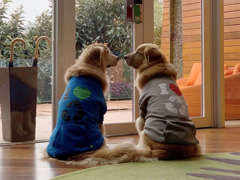 pet friendly -bob e marley  (2).jpg