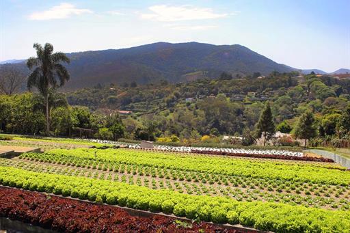 whatsapp image 2021-12-06 at 19.40.43(5).jpeg