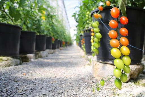 whatsapp image 2021-12-06 at 19.46.23(3).jpeg