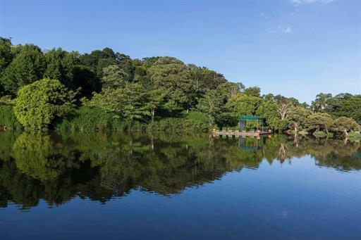 whatsapp image 2021-12-06 at 19.46.23(6).jpeg