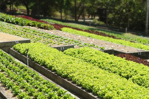 whatsapp image 2021-12-06 at 19.46.23(5).jpeg