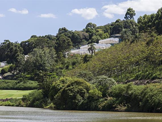 Estufas Paisagem.jpg