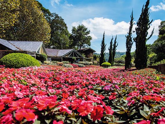 Vila Mediterrânea.jpg