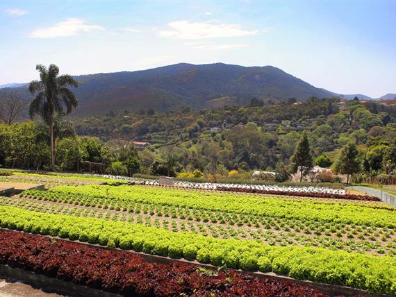 whatsapp image 2021-12-06 at 19.40.43(5).jpeg