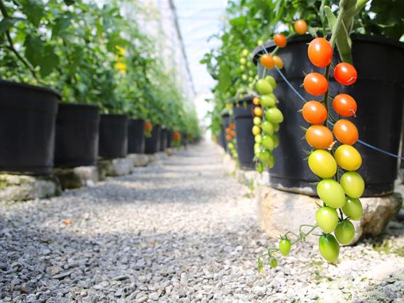 whatsapp image 2021-12-06 at 19.46.23(3).jpeg