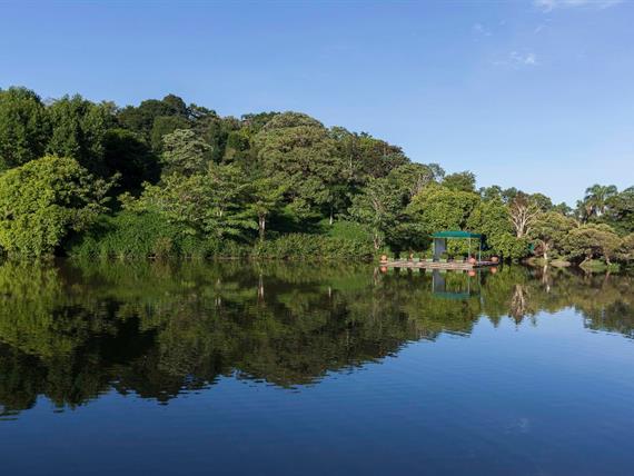 whatsapp image 2021-12-06 at 19.46.23(6).jpeg